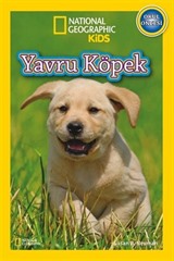 National Geographic Kids -Yavru Köpek