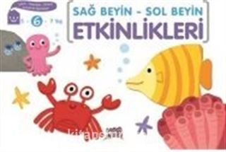 Sağ Beyin Sol Beyin Etkinlikleri 6 Yaş