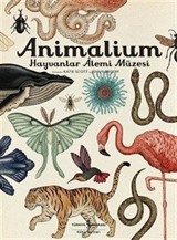 Animalium / Hayvanlar Alemi Müzesi