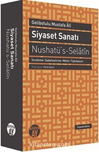 Siyaset Sanatı