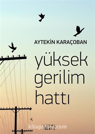 Yüksek Gerilim Hattı