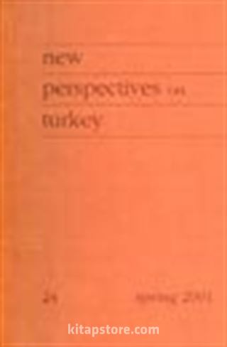 New Perspectives on Turkey