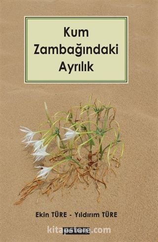 Kum Zambağındaki Ayrılık