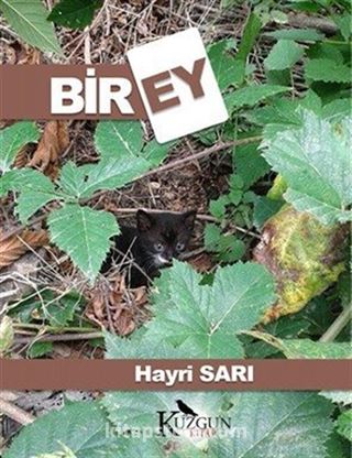 Birey