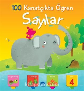 Sayılar / 100 Kanatçıkta Öğren