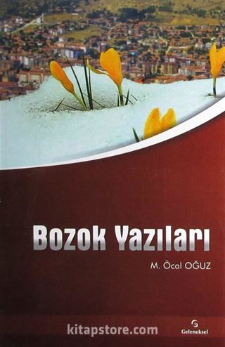 Bozok Yazıları