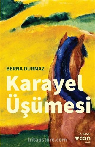 Karayel Üşümesi