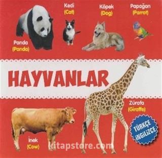 Hayvanlar (Türkçe-İngilizce)