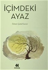 İçimizdeki Ayaz