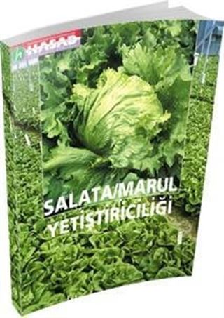 Salata-Marul Yetiştiriciliği