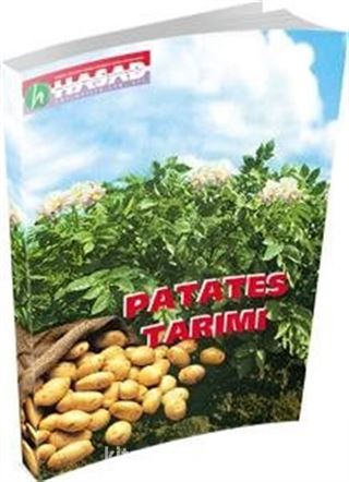 Patates Tarımı