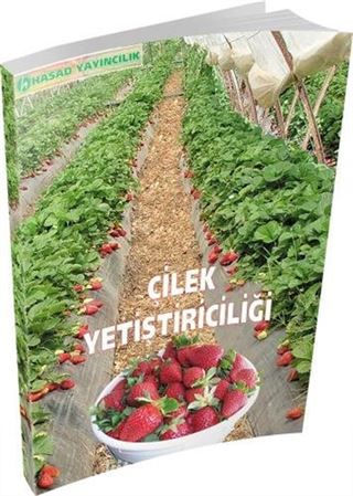 Çilek Yetiştiriciliği