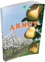 Armut