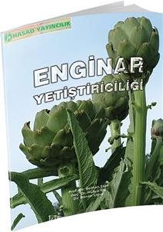 Enginar Yetiştiriciliği