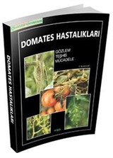 Domates Hastalıkları