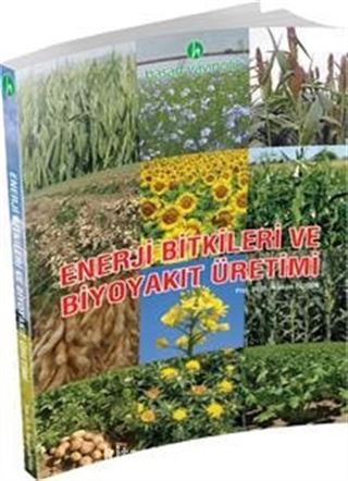 Enerji Bitkileri ve Biyoyakıt Üretimi