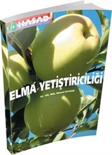 Elma Yetiştiriciliği