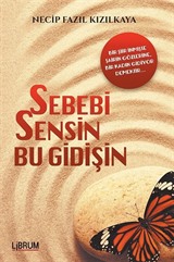 Sebebi Sensin Bu Gidişin