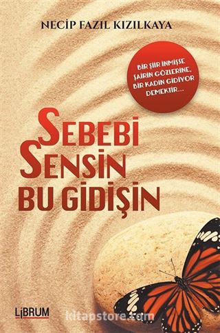 Sebebi Sensin Bu Gidişin