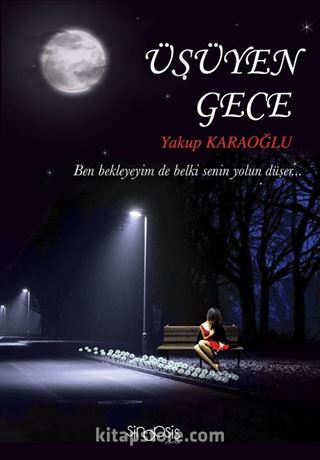 Üşüyen Gece