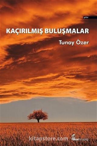 Kaçırılmış Buluşmalar