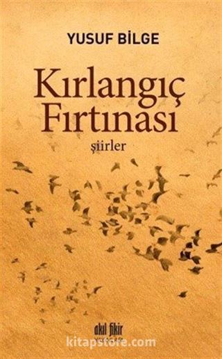 Kırlangıç Fırtınası