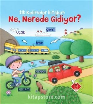 Ne, Nerede Gidiyor?