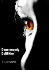 Denenmemiş Delilikler