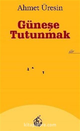 Güneşe Tutunmak