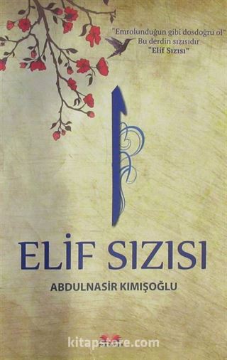 Elif Sızısı