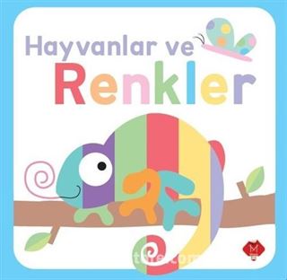 Hayvanlar ve Renkler / Dokun Hisset