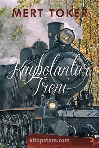 Kaybolanlar Treni