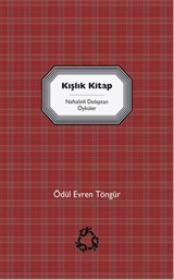 Kışlık Kitap