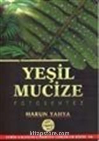 Yeşil Mucize / Fotosentez