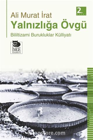 Yalnızlığa Övgü