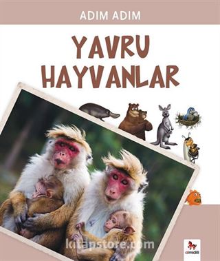 Adım Adım Yavru Hayvanlar