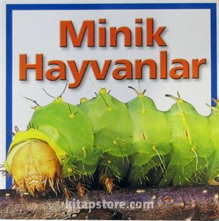 Minik Hayvanlar