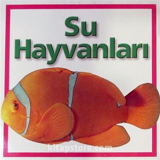 Su Hayvanları