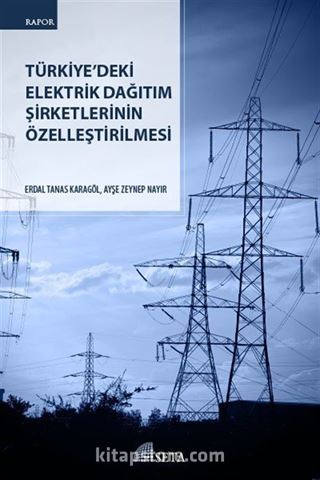 Türkiye'deki Elektrik Dağıtım Şirketlerinin Özelleştirilmesi