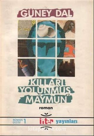 Kılları Yolunmuş Maymun