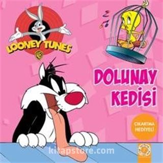 Dolunay Kedisi