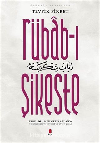 Rübab-ı Şikeste