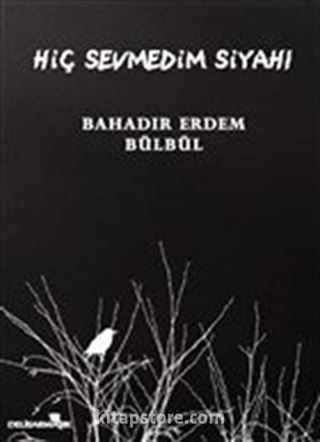 Hiç Sevmedim Siyahı