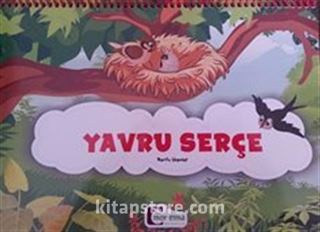 Yavru Serçe