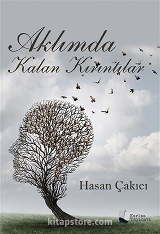 Aklımda Kalan Kırıntılar