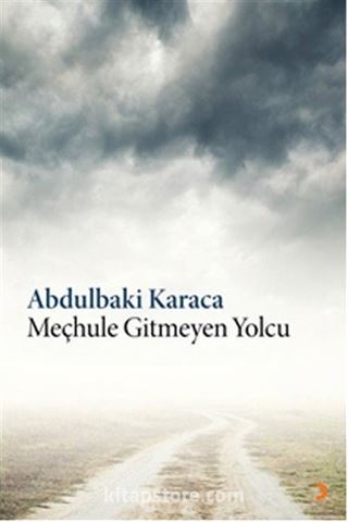 Meçhule Gitmeyen Yolcu