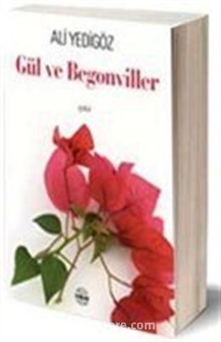 Gül ve Begonviller