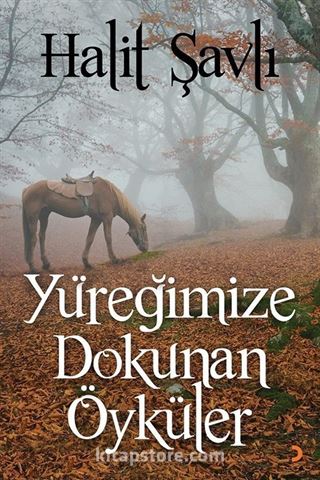 Yüreğimize Dokunan Öyküler