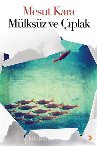 Mülksüz ve Çıplak