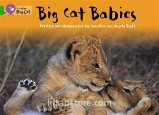 Big Cat Babies (Big Cat 5 Green)